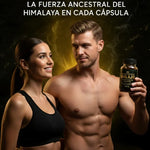 Gomitas de Shilajit para Hombres | Energía, Testosterona y Rendimiento Natural
