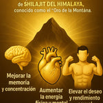 Gomitas de Shilajit para Hombres | Energía, Testosterona y Rendimiento Natural