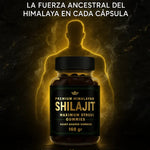 Gomitas de Shilajit para Hombres | Energía, Testosterona y Rendimiento Natural